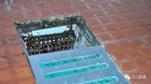 长沙市盈泰有害生物防治有限公司,长沙生物防治工作 长沙市盈泰有害生物防治有限公司,长沙生物防治工作