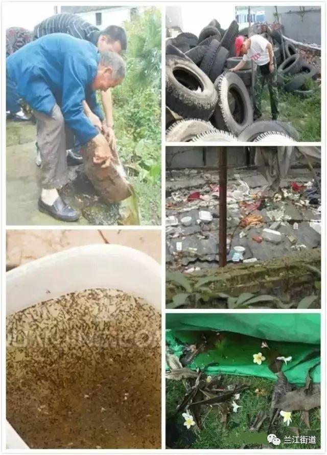 长沙市盈泰有害生物防治有限公司,长沙生物防治工作 长沙市盈泰有害生物防治有限公司,长沙生物防治工作